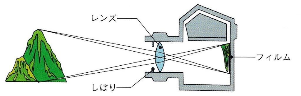 人間の目の機能はカメラの仕組みと似ている