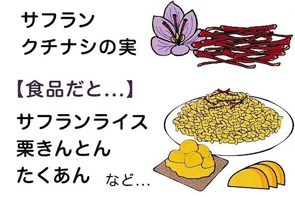 目の健康の為にバランスの良い食べ物