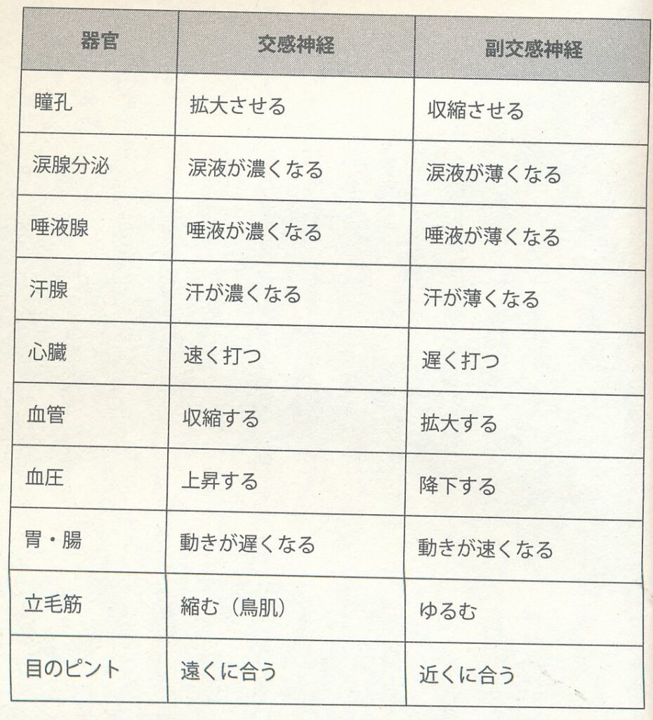 交感神経と副交感神経の働き