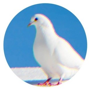 ニコンビジョンより引用