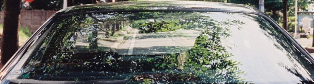 車のフロントガラス等の反射を抑える