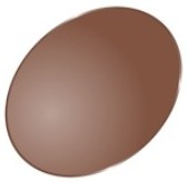 Fire BricK　東海光学偏光レンズ