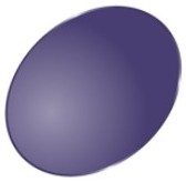 DanK Orchid東海光学偏光レンズ