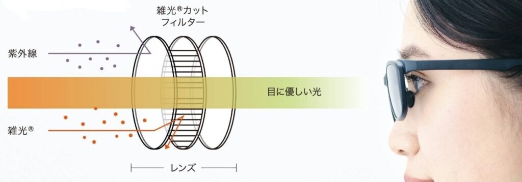偏光レンズの仕組み