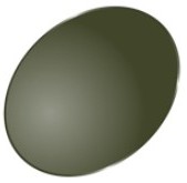 Moss Green東海光学偏光レンズ