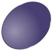 東海光学偏光レンズIron BLue