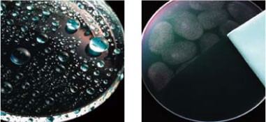 皮脂や汚れが付きにくいコート