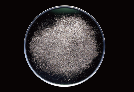 一般のメガネレンズコート