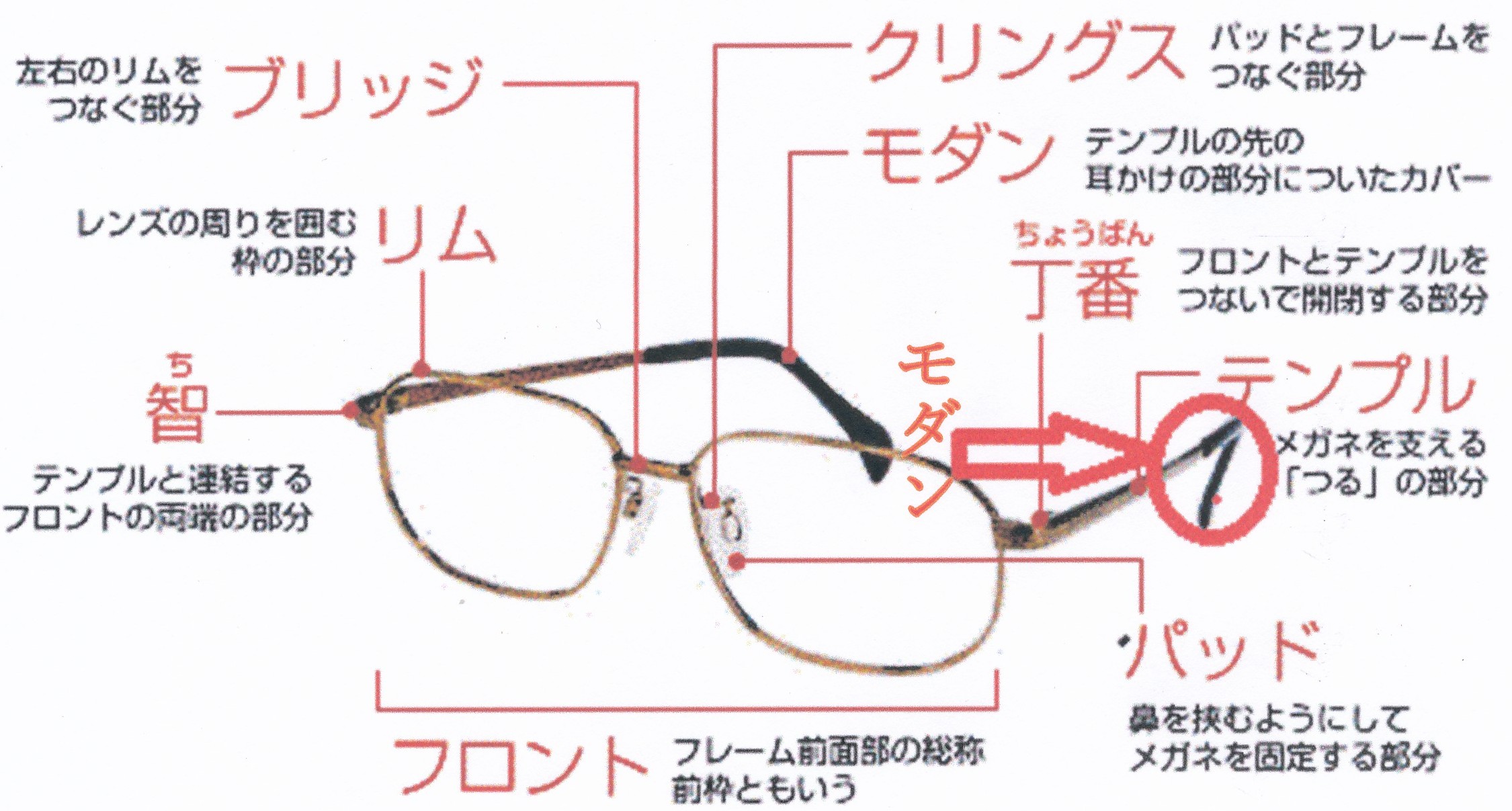 メガネフレーム部位