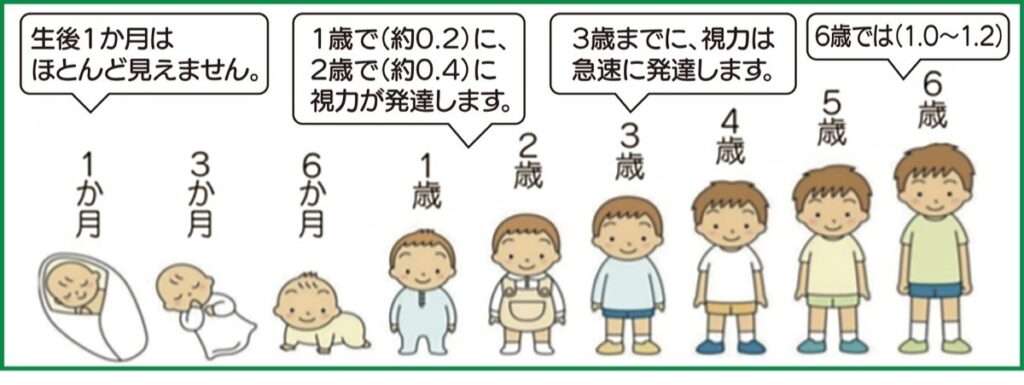 子どもの視力の発達