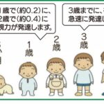 子どもの視力の発達