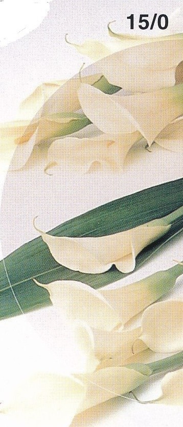 レンズカラー見え方