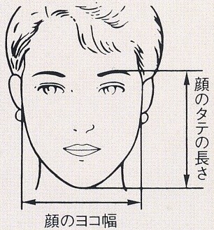顔の長さイラスト