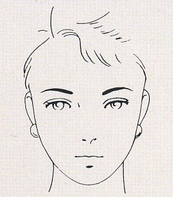 顔の型イラスト
