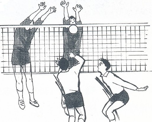 スポーツビジョン・トレーニングより引用