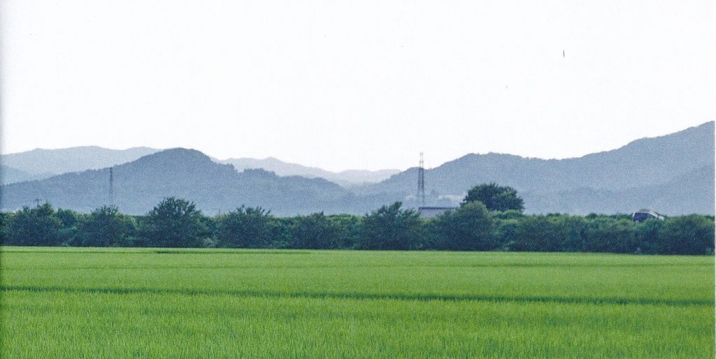 アセテートの板