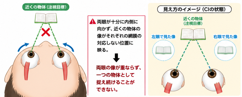 マイベストプロ大分より引用